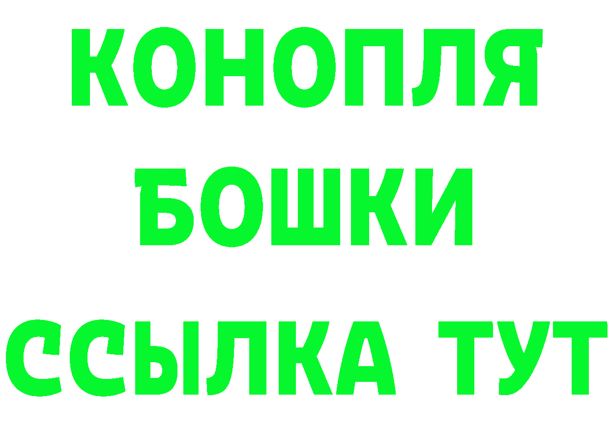 ГАШ Изолятор рабочий сайт площадка МЕГА Кедровый